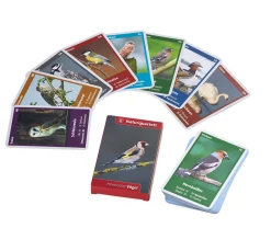 Quelle ＆ Meyer Verlag Naturquartett Heimische Vögel Hot