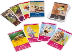 Quelle ＆ Meyer Verlag Naturquartett Tiere im Garten Best