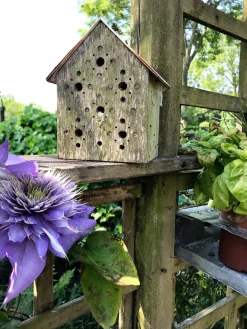 SIDE BY SIDE Nisthilfe Bienenhotel Bee's Inn Discount