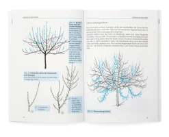 Obst-und Gartenbauverlag Obstbaumschnitt in Bildern Discount