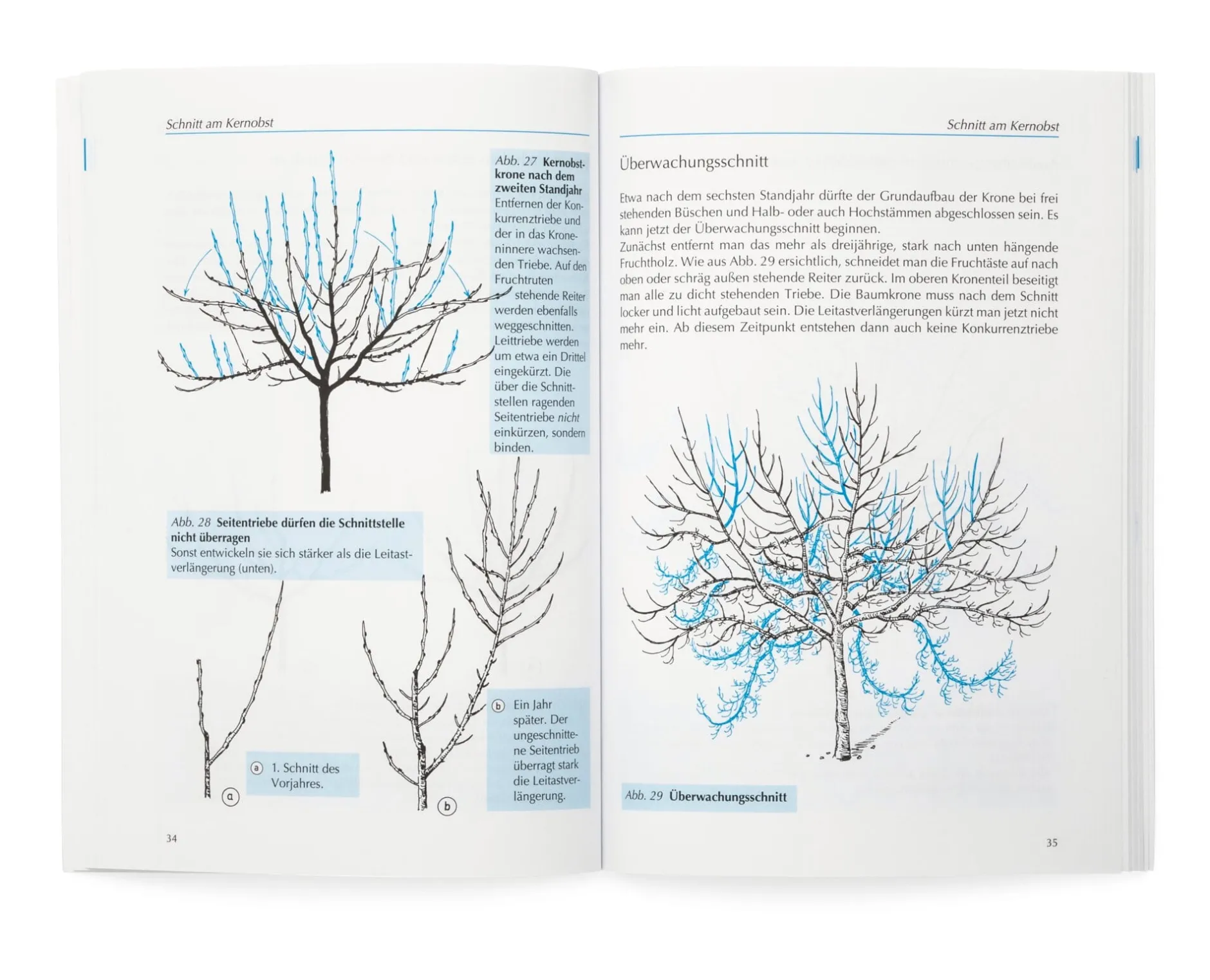 Obst-und Gartenbauverlag Obstbaumschnitt in Bildern Discount