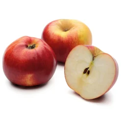 Martin Müller Baumschulen Obstgehölz Winterapfel 'Winterrambur' Clearance