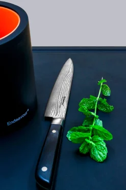 Obstmesser Endeavour Online