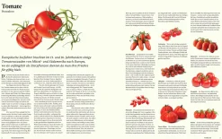 Die Gestalten Verlag Originale Clearance