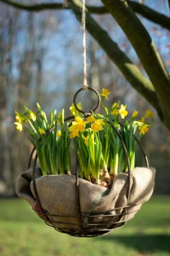 Pro Flora Pflanzeinlage Kokos für Pflanzgefäße New