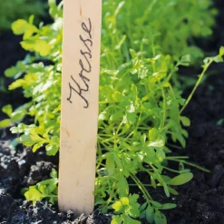 Sting in the Tail Pflanzenetiketten Birkenholz