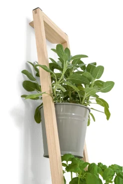 Fairwerk Pflanzenleiter für drinnen und draußen Grau Sale