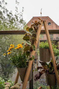 Fairwerk Pflanzenleiter für drinnen und draußen Grau Sale