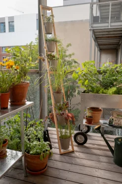 Fairwerk Pflanzenleiter für drinnen und draußen Grau Sale