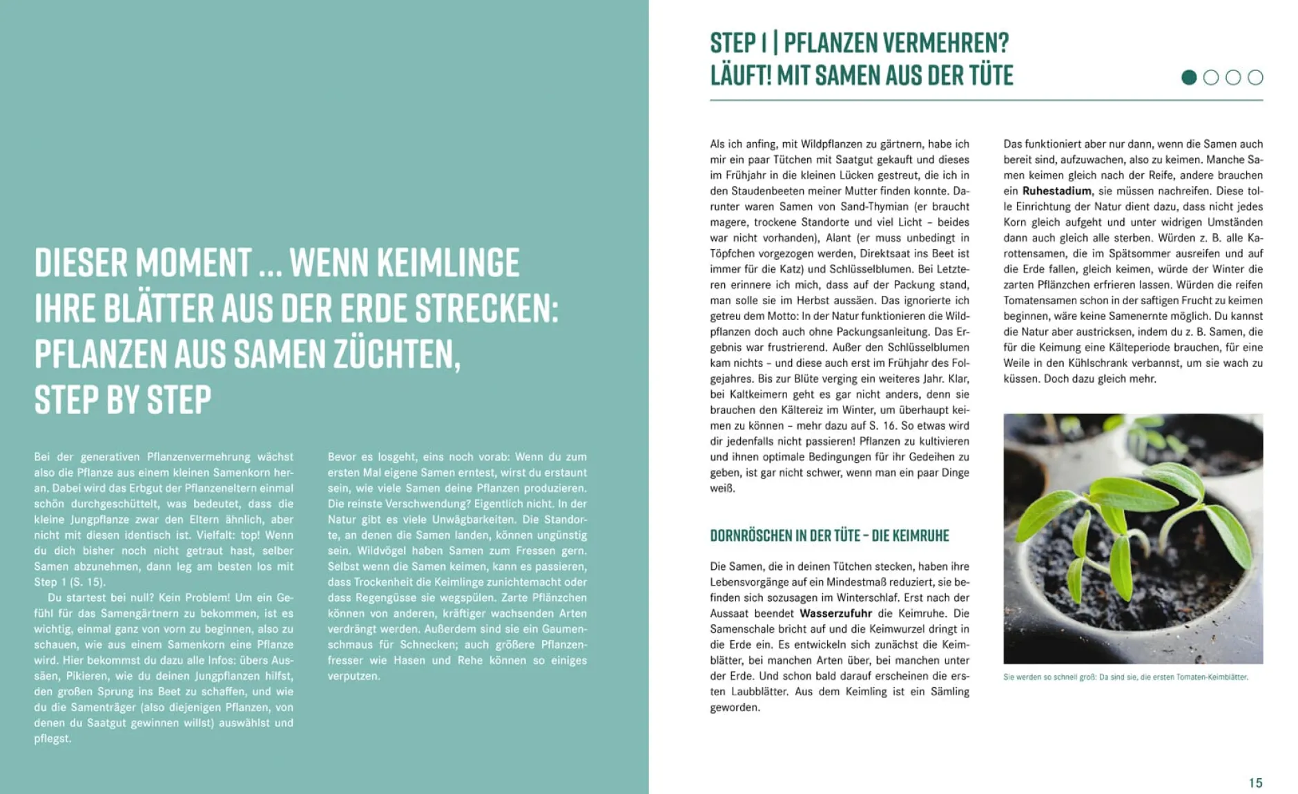 Löwenzahn Verlag Pflanzen-Lovestory New