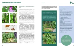 Löwenzahn Verlag Pflanzen-Lovestory New