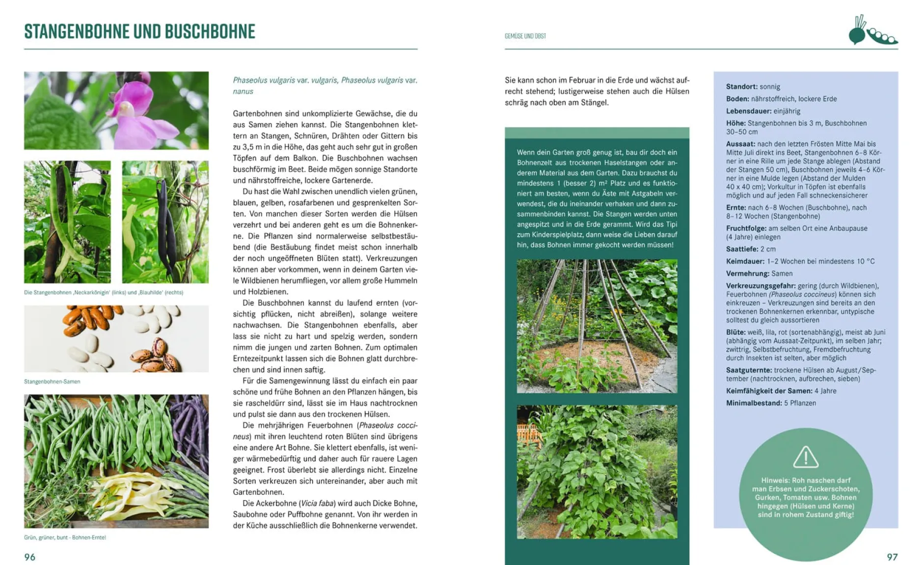 Löwenzahn Verlag Pflanzen-Lovestory New