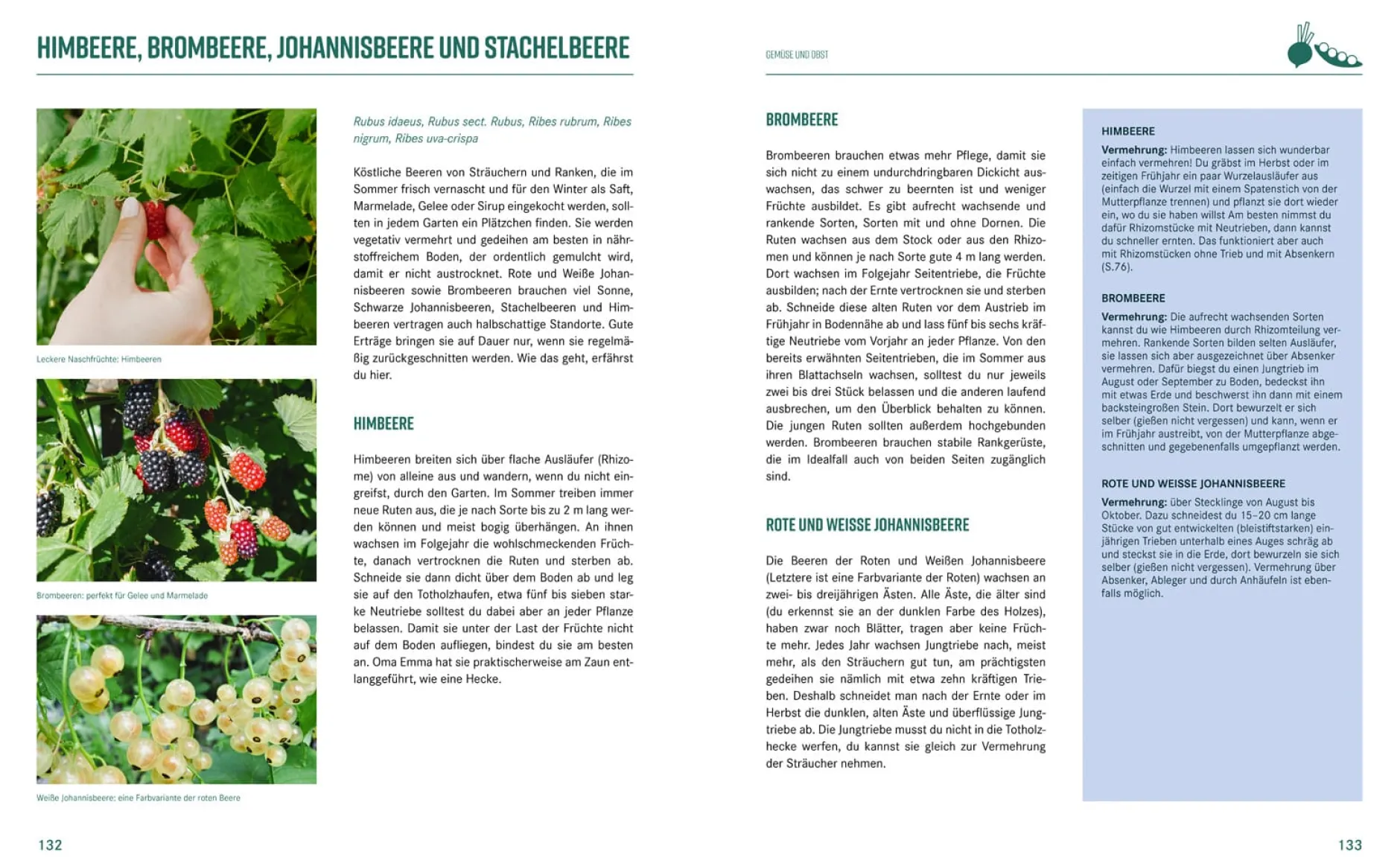 Löwenzahn Verlag Pflanzen-Lovestory New