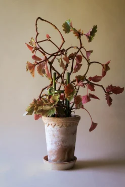 Bergs Potter Pflanzenstab Folk Hot