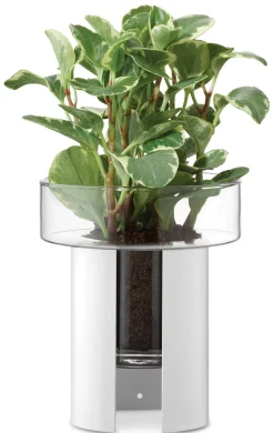 Pflanzgefäß Terrazza Weiß Hot