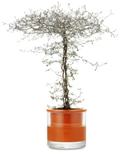 Wet Pot Systems Pflanzgefäß Online