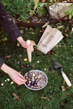 Krumpholz-Werkzeuge Pflanzholz mit Messingspitze