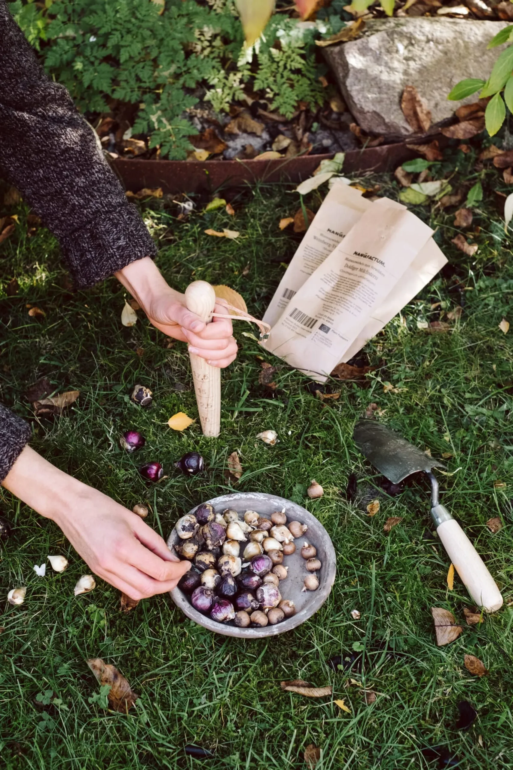 Krumpholz-Werkzeuge Pflanzholz mit Messingspitze