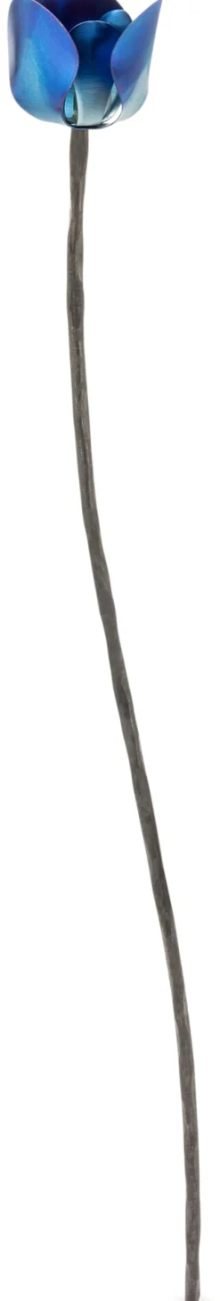 Abtei Königsmünster Pflanzstab Titanblüte Blau Hot