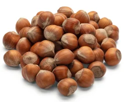 Corilanga Piemontesische Haselnüsse in Schale Hot