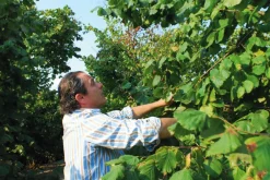 Azienda Agricola Papa dei Boschi Piemontesische Haselnuss-Schokoladen-Creme Discount