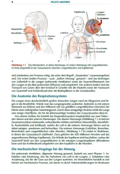 Stiebner Pilates Anatomie Sale