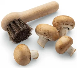 Andrée Jardin Pilz-Bürste Hot