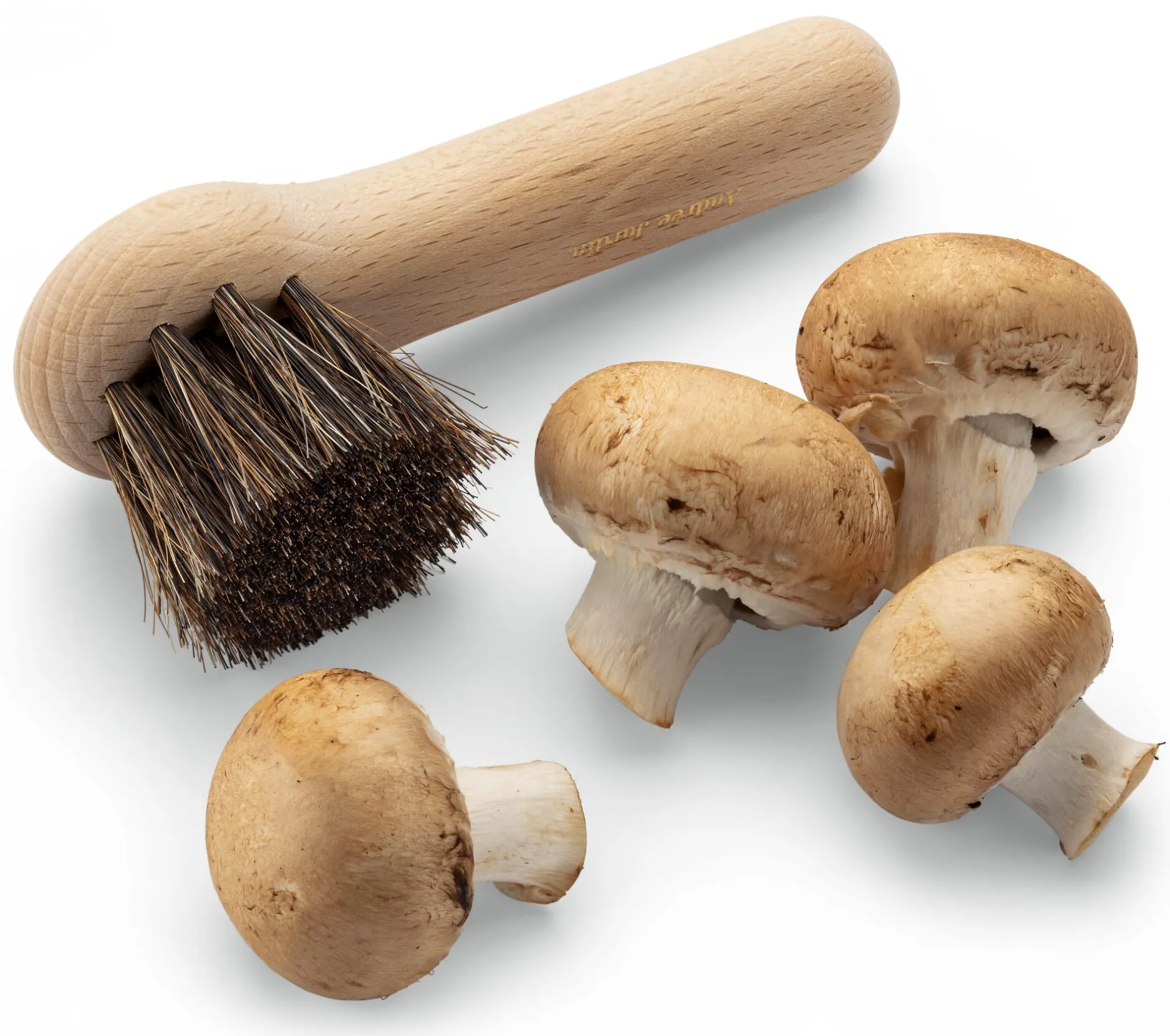 Andrée Jardin Pilz-Bürste Hot