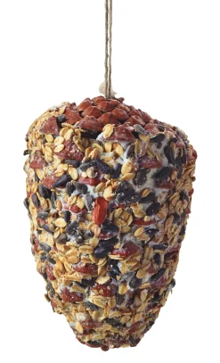 Das Vogelhäuschen Pinienzapfen Vogelfutter Outlet