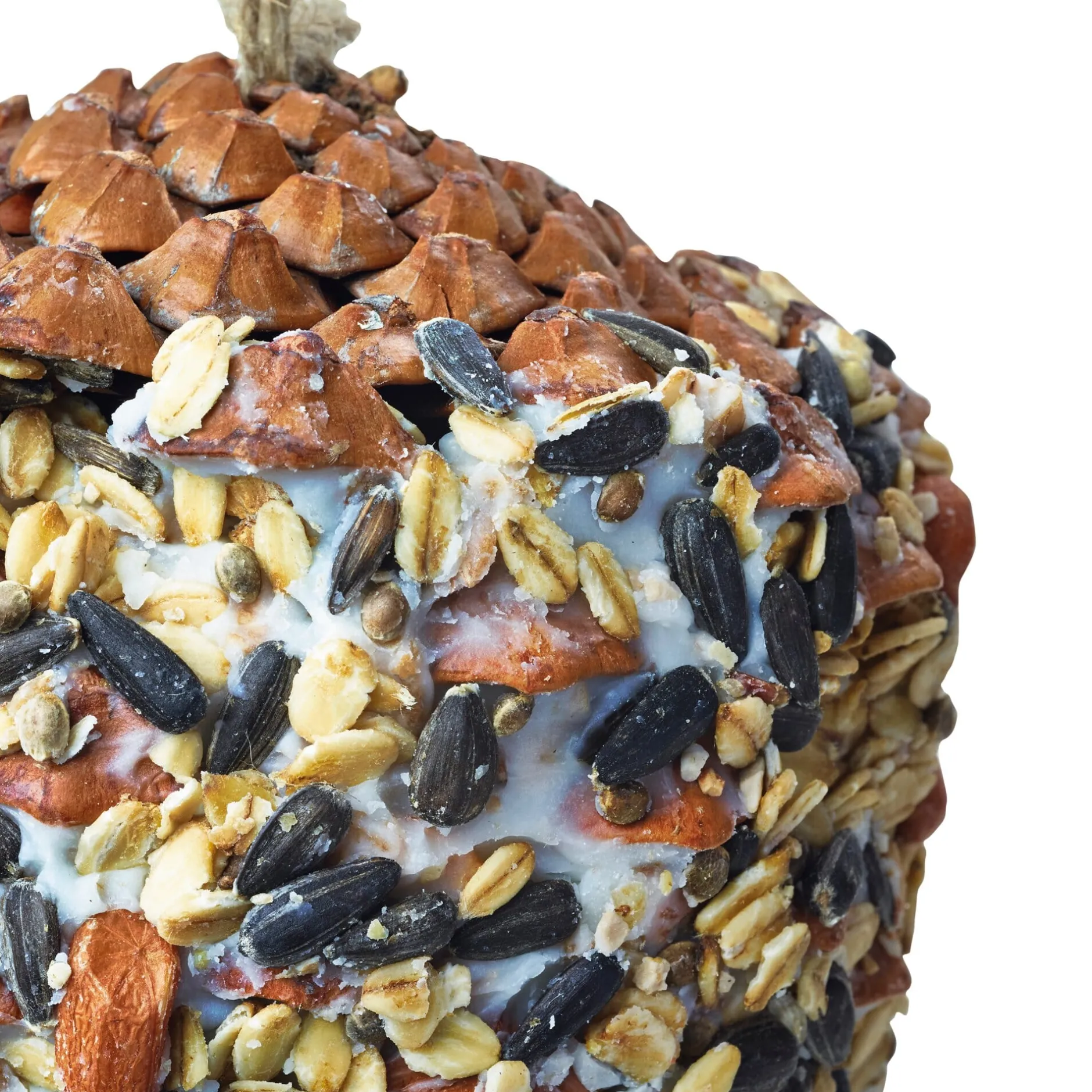 Das Vogelhäuschen Pinienzapfen Vogelfutter Outlet