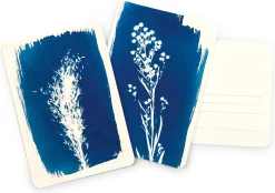 Postkartenset DIY Cyanotypie Online