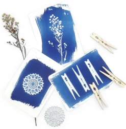 Postkartenset DIY Cyanotypie Online