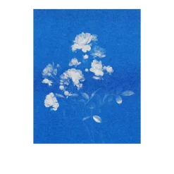 Herr & Frau Rio Postkarten-Set Riso