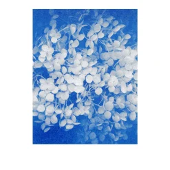 Herr & Frau Rio Postkarten-Set Riso