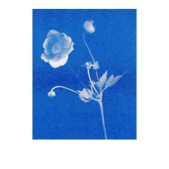 Herr & Frau Rio Postkarten-Set Riso