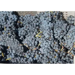 Quinta de la Rosa Tawny Port 10 Jahre Best