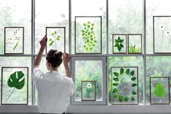 Moebe Rahmen Frame, Holz Clearance