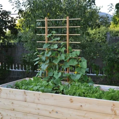 Kaufhaus Harra Rankgerüst für Beet und Hochbeet Hot