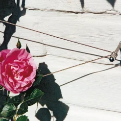 Peddy Shield Ranksystem Edelstahl Discount