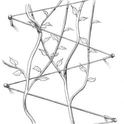 Peddy Shield Ranksystem Edelstahl Discount