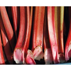 van Nahmen Rhabarbernektar Online