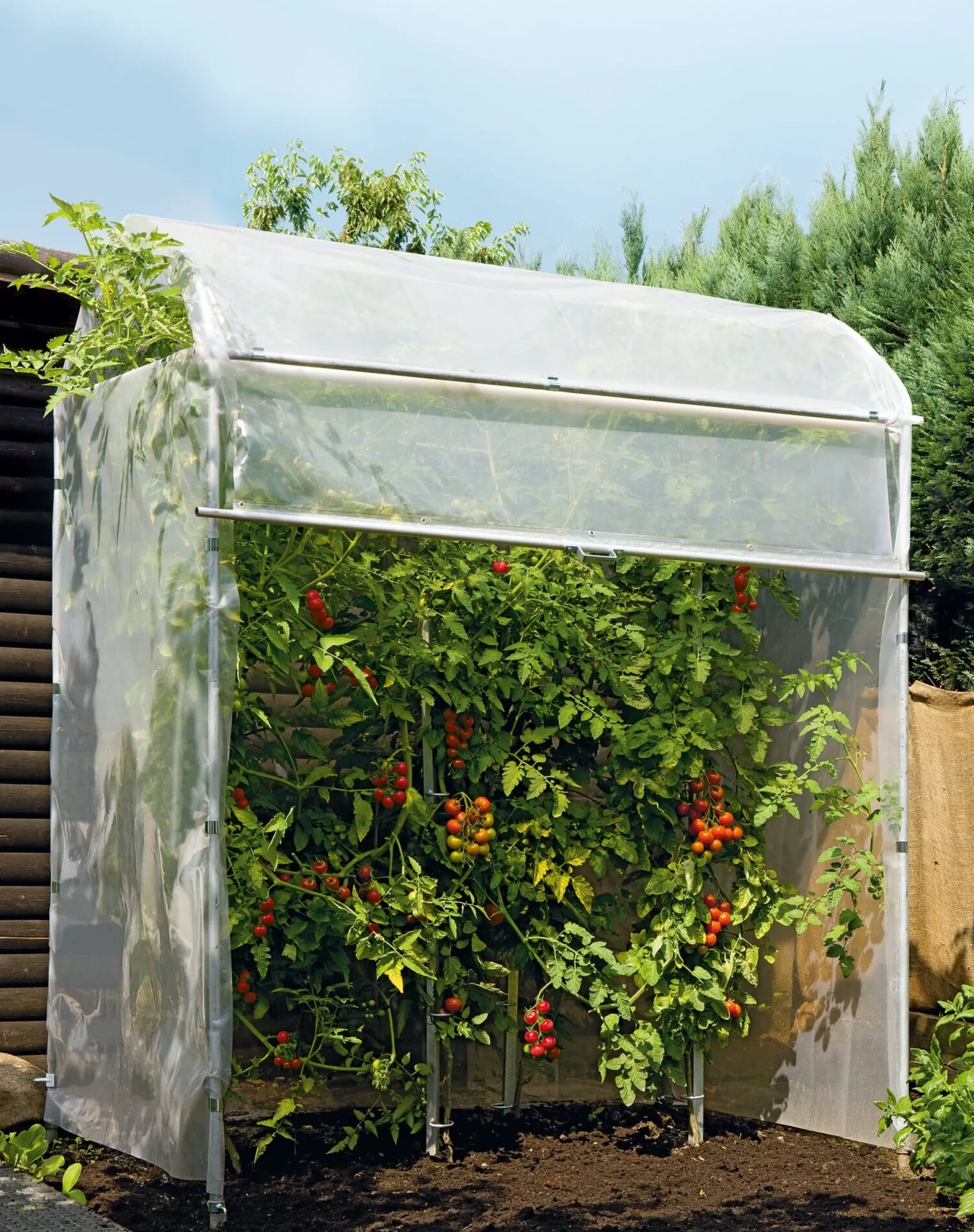 Brühwiler Maschinen Rollo für Tomatenhaus Aluminiumrahmen Sale