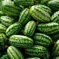 Manufactum Saatgut Gemüse und Blumen für Kinder Online