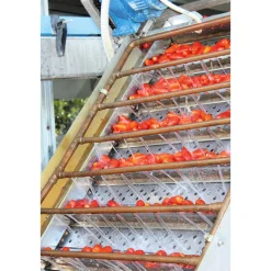 Manufactum San-Marzano-Tomaten Sale