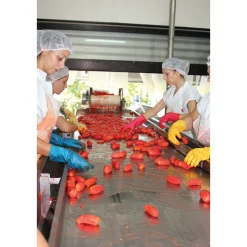 Manufactum San-Marzano-Tomaten Sale