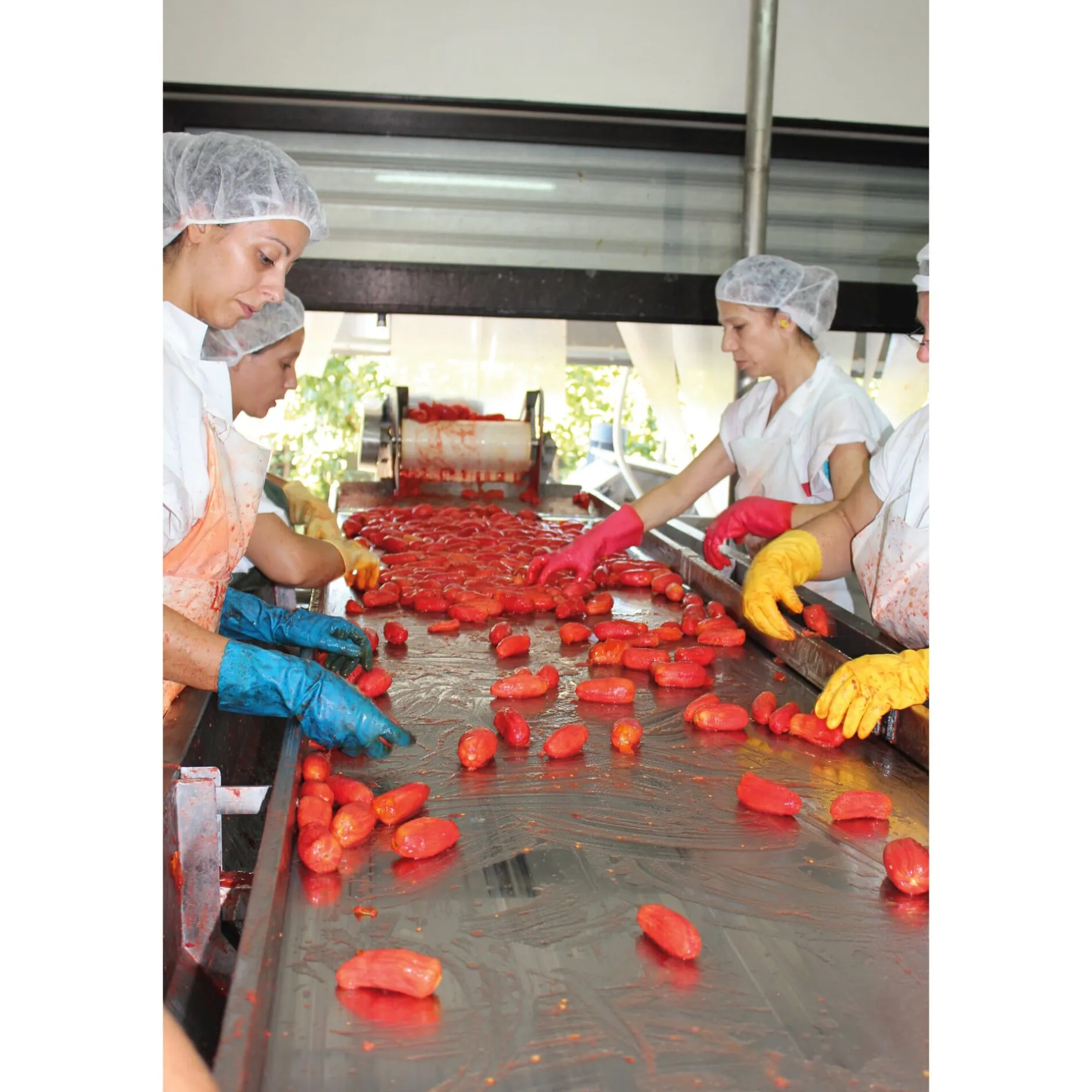 Manufactum San-Marzano-Tomaten Sale