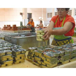 NURI Sardinen in scharfer Tomatensauce Online