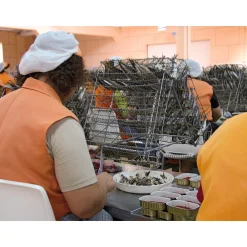 NURI Sardinen in scharfer Tomatensauce Online