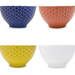 Sargadelos Schale Rede New