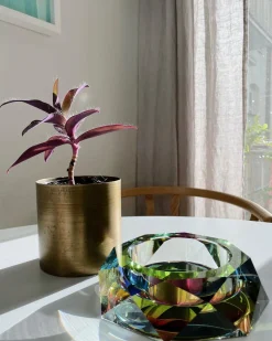 Fundamental Berlin Schale Regenbogen Best